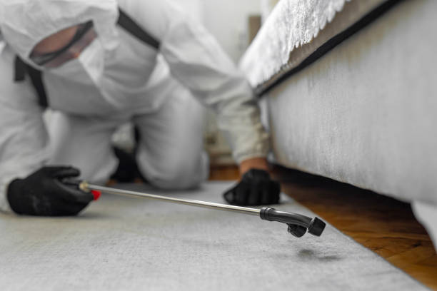 Professional Termite Control technician working in Warroad, MN