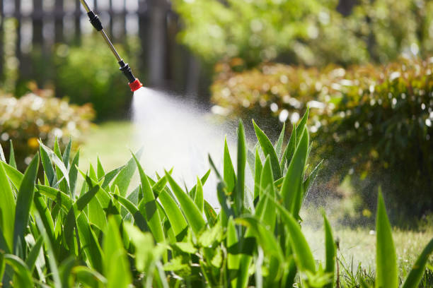 24/7 Emergency Termite Control experts in Warroad, MN