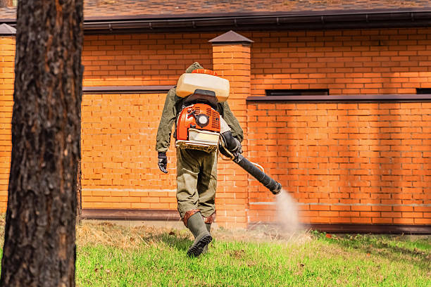 Top rated local Termite Control specialists in Warroad, MN